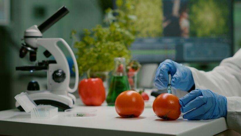 closeup-chemist-scientist-injecting-organic-tomato-with-pesticides-gmo-test_482257-2125